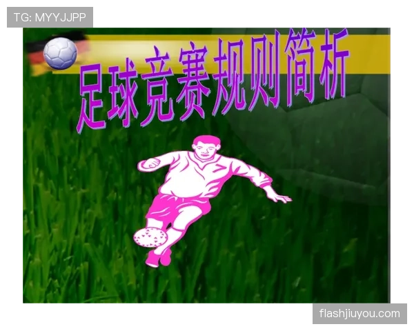球门球判罚规则详解与实际执行标准解析