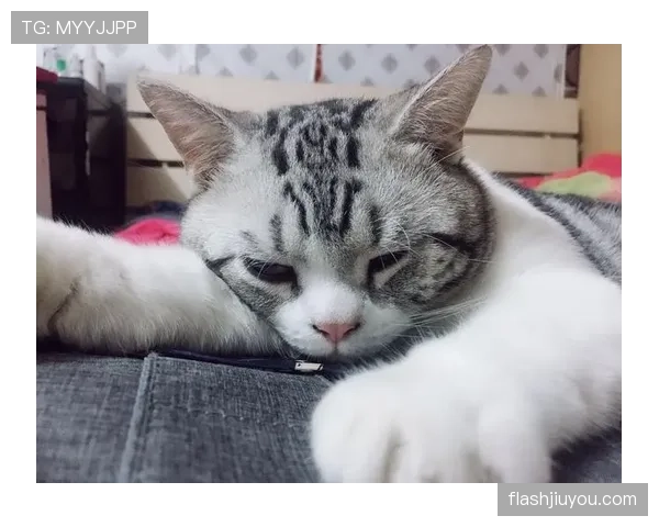 谌龙训练完直接躺地上跟家里猫似的,这差距也太大了吧… 谌龙训练完直接躺地上跟家里猫似的,这差距也太大了吧…
